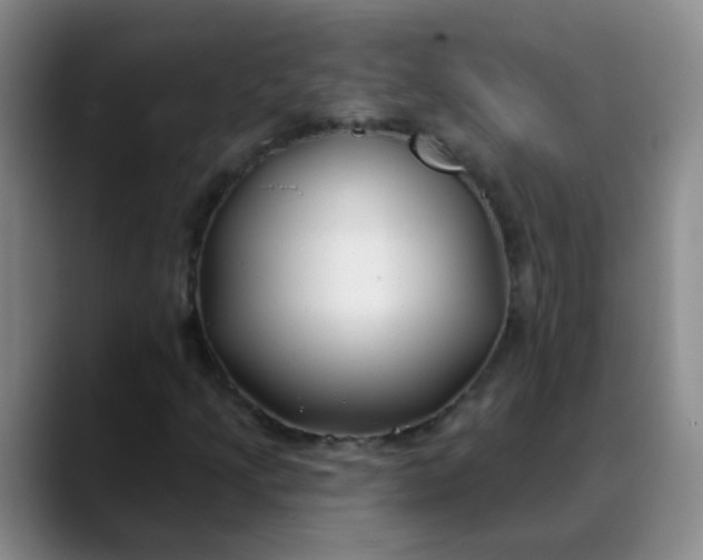 X0000088711205200706141442