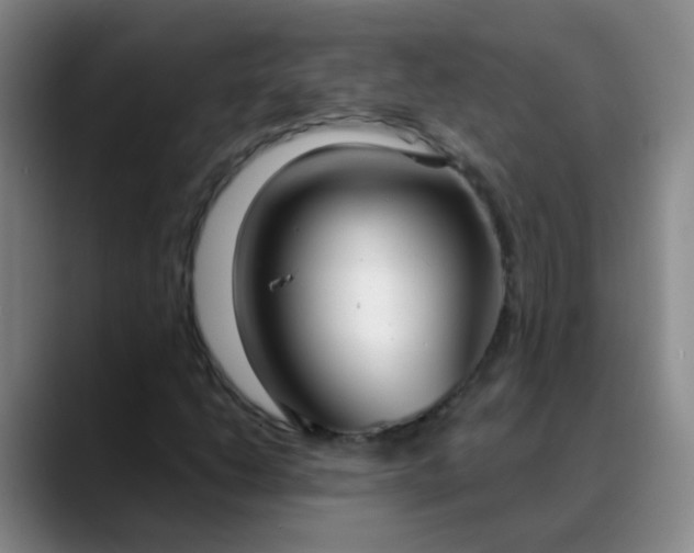 X0000088711206200706141442