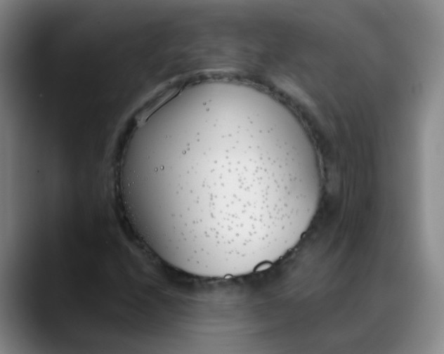 X0000088711208200706141442