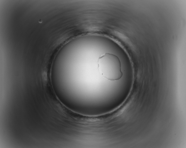 X0000088711209200706141442