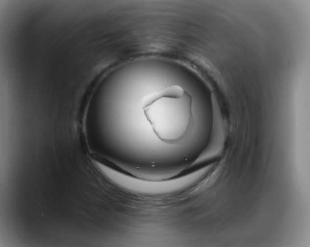 X0000088711210200706141442