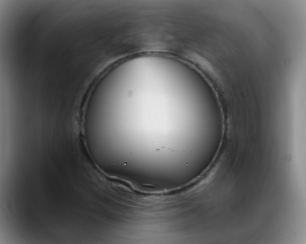 X0000088711212200706141442