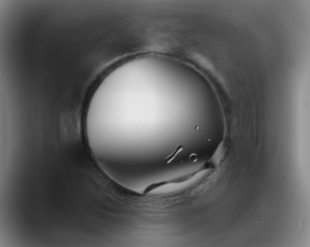 X0000088711214200706141442