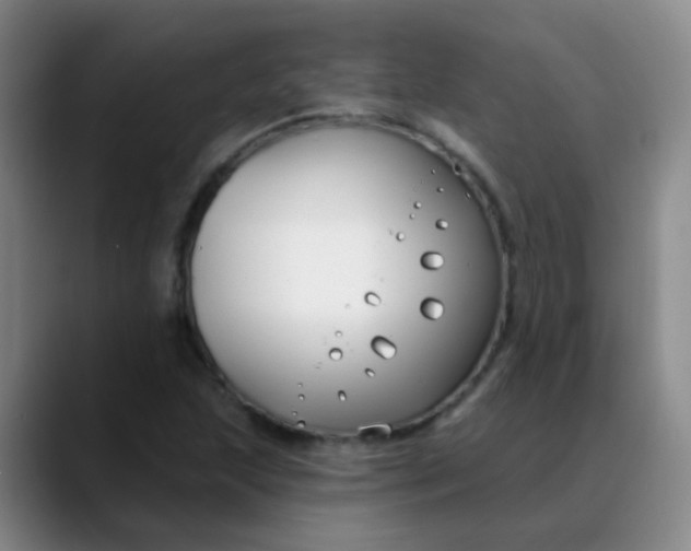 X0000088711215200706141442