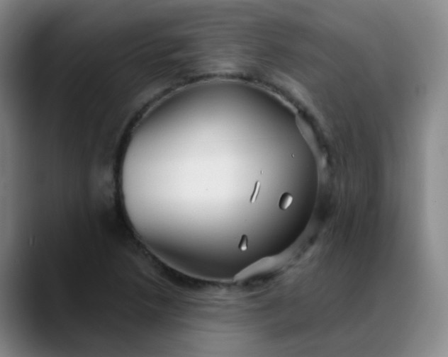 X0000088711218200706141442