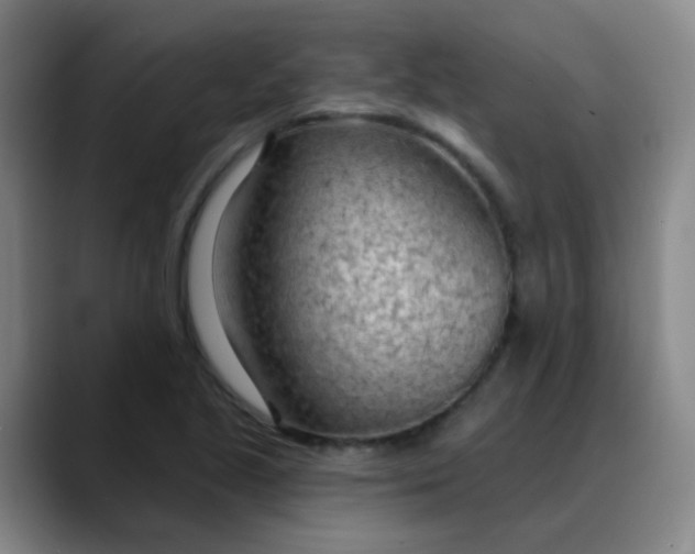 X0000088711221200706141442