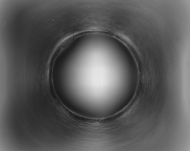 X0000088711222200706141442