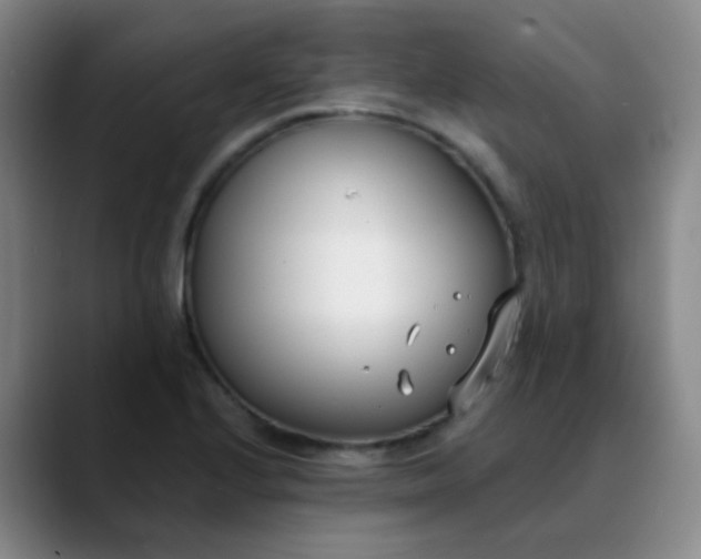 X0000088711224200706141442