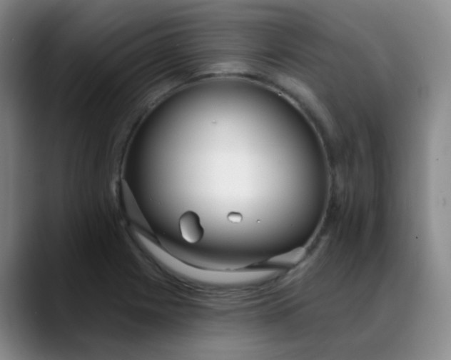 X0000088711225200706141442