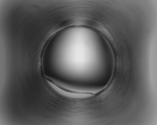 X0000088711226200706141442