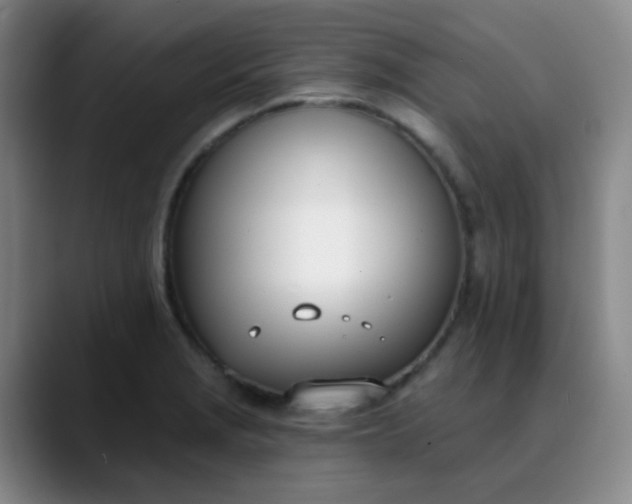 X0000088711229200706141442