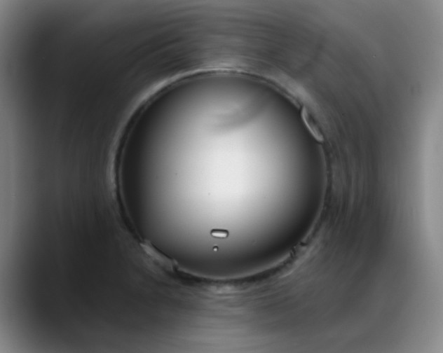 X0000088711230200706141442