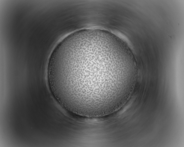 X0000088711231200706141442