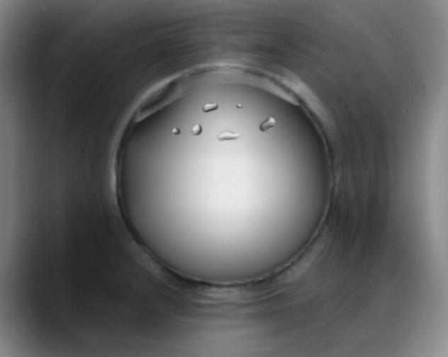 X0000088711232200706141442