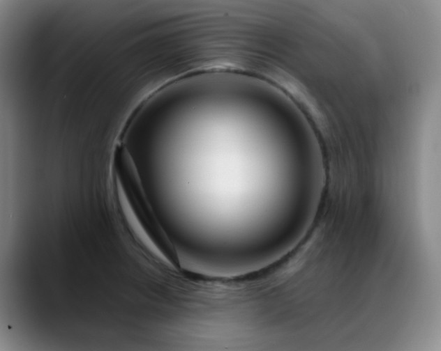 X0000088711234200706141442