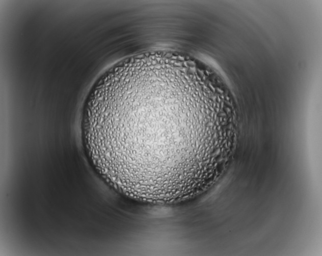 X0000088711235200706141442