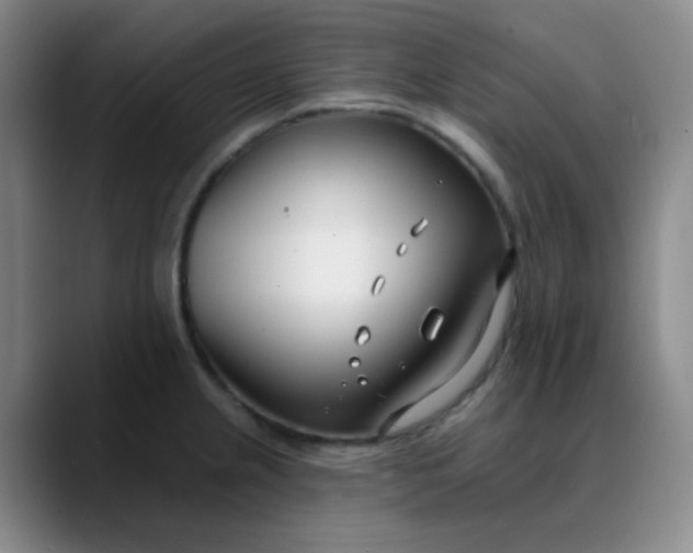 X0000088711237200706141442