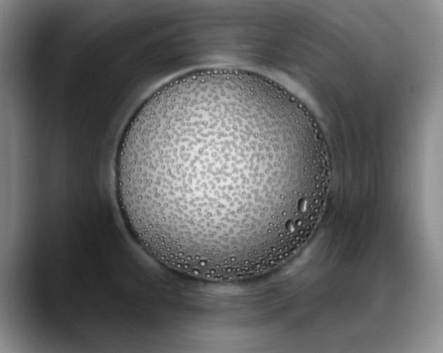 X0000088711239200706141442