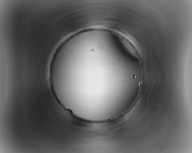 X0000088711240200706141442