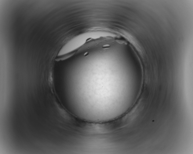 X0000088711241200706141442