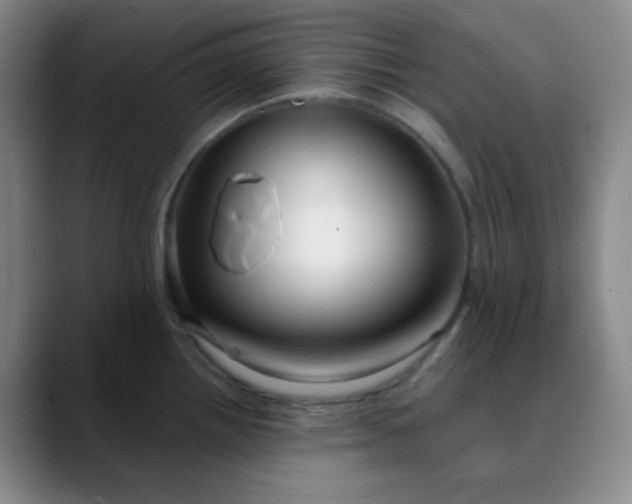 X0000088711242200706141442