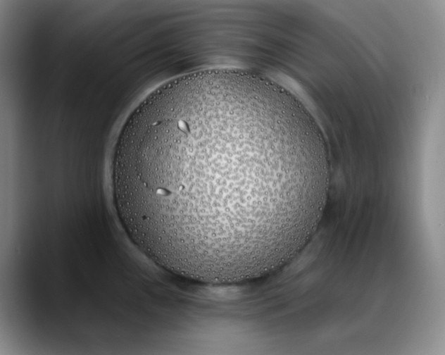 X0000088711243200706141442