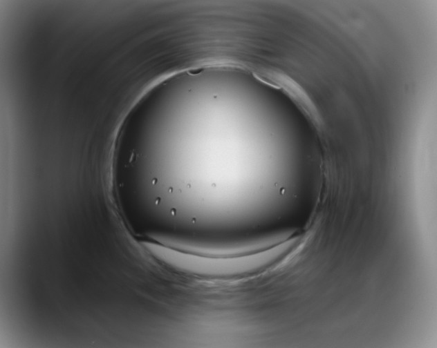 X0000088711244200706141442