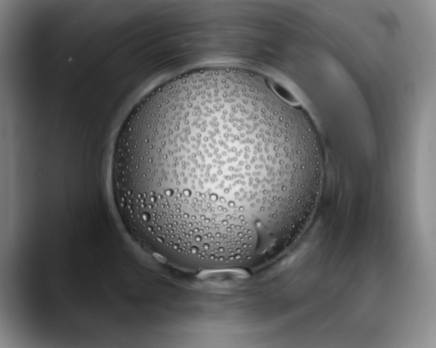 X0000088711245200706141442