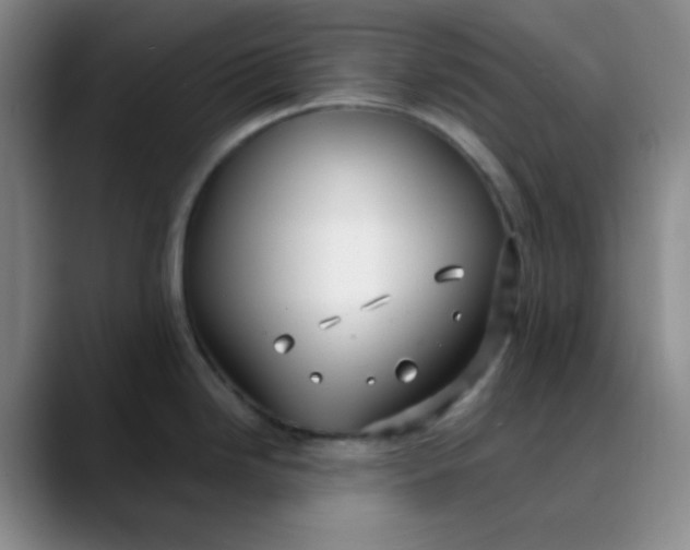 X0000088711246200706141442