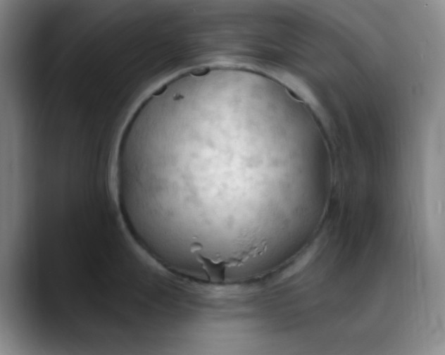 X0000088711247200706141442