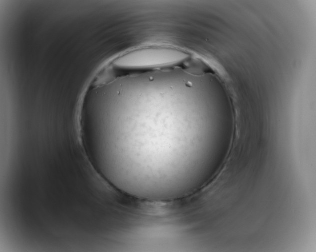 X0000088711248200706141443