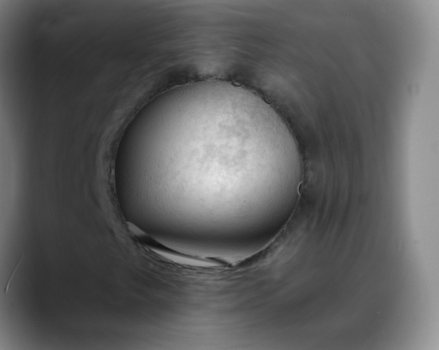 X0000088711249200706141442