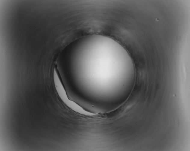 X0000088711250200706141442