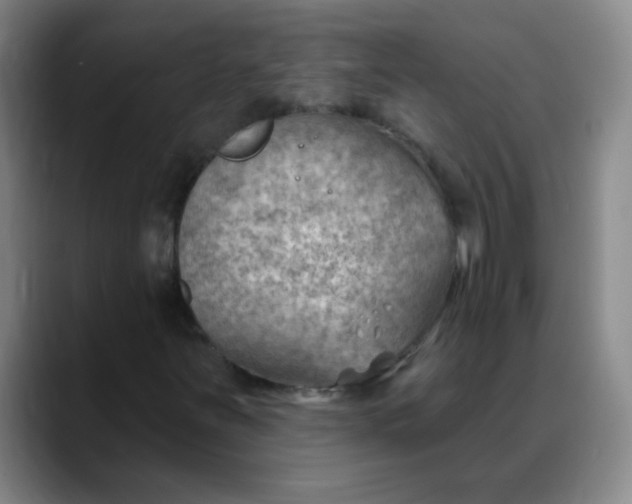 X0000088711251200706141442