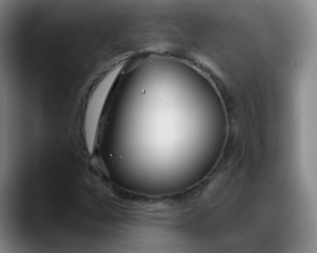 X0000088711256200706141442