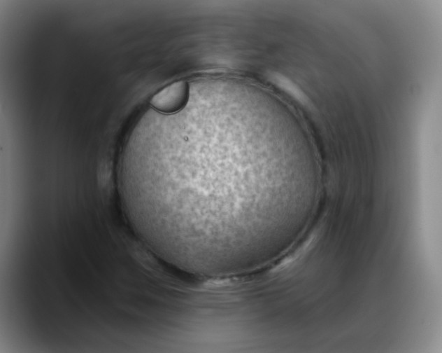 X0000088711259200706141442