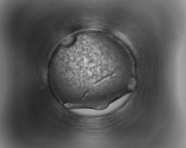 X0000088711260200706141442