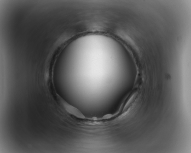 X0000088711261200706141442