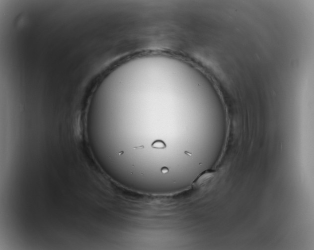 X0000088711262200706141442