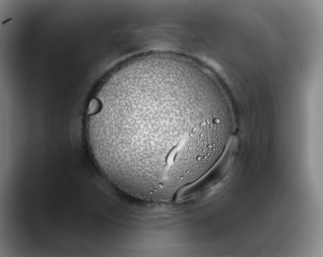X0000088711263200706141442