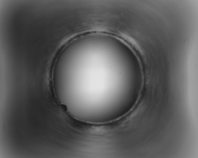 X0000088711264200706141442