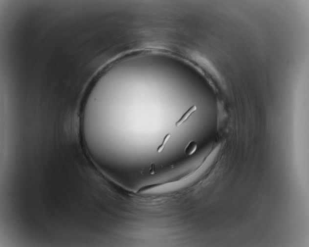 X0000088711268200706141442