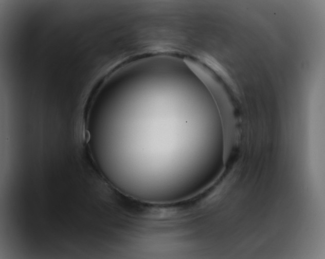 X0000088711269200706141442