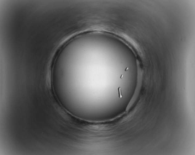 X0000088711272200706141442