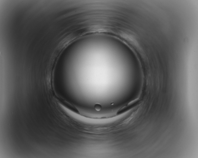 X0000088711273200706141442