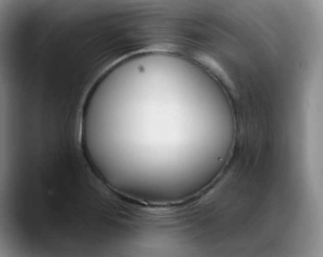 X0000088711276200706141442