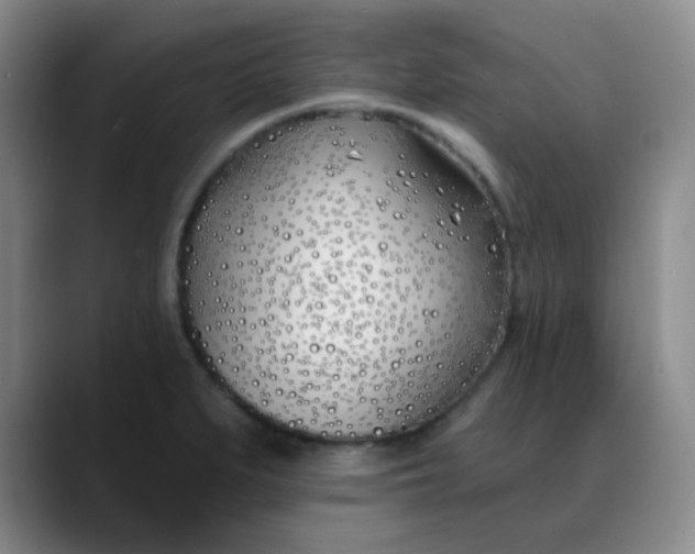 X0000088711279200706141442