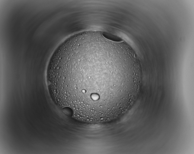 X0000088711283200706141442