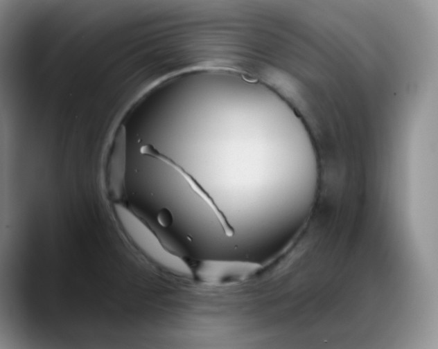 X0000088711284200706141442