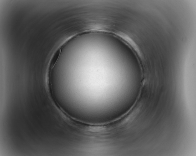 X0000088711285200706141442